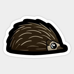 Hedgehog Sticker